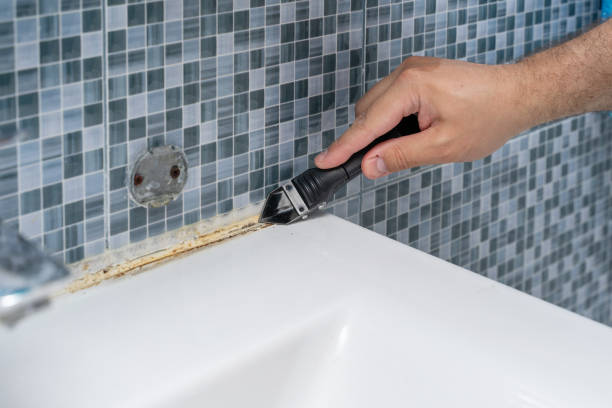 Best Mold Cleaning Services  in Kingsbury, NV