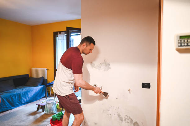 Office Mold Removal Services in Kingsbury, NV