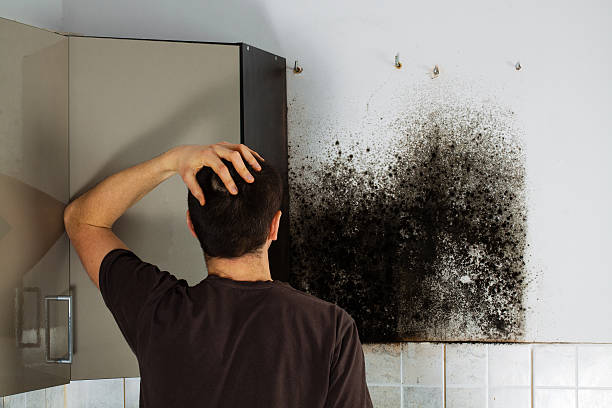 Best Residential Mold Removal  in Kingsbury, NV